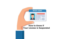 How-to-Know-if-Your-License-is-Suspended
