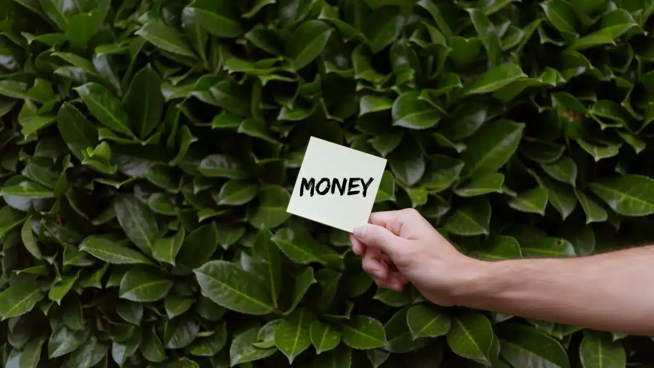 Money Growth Garden