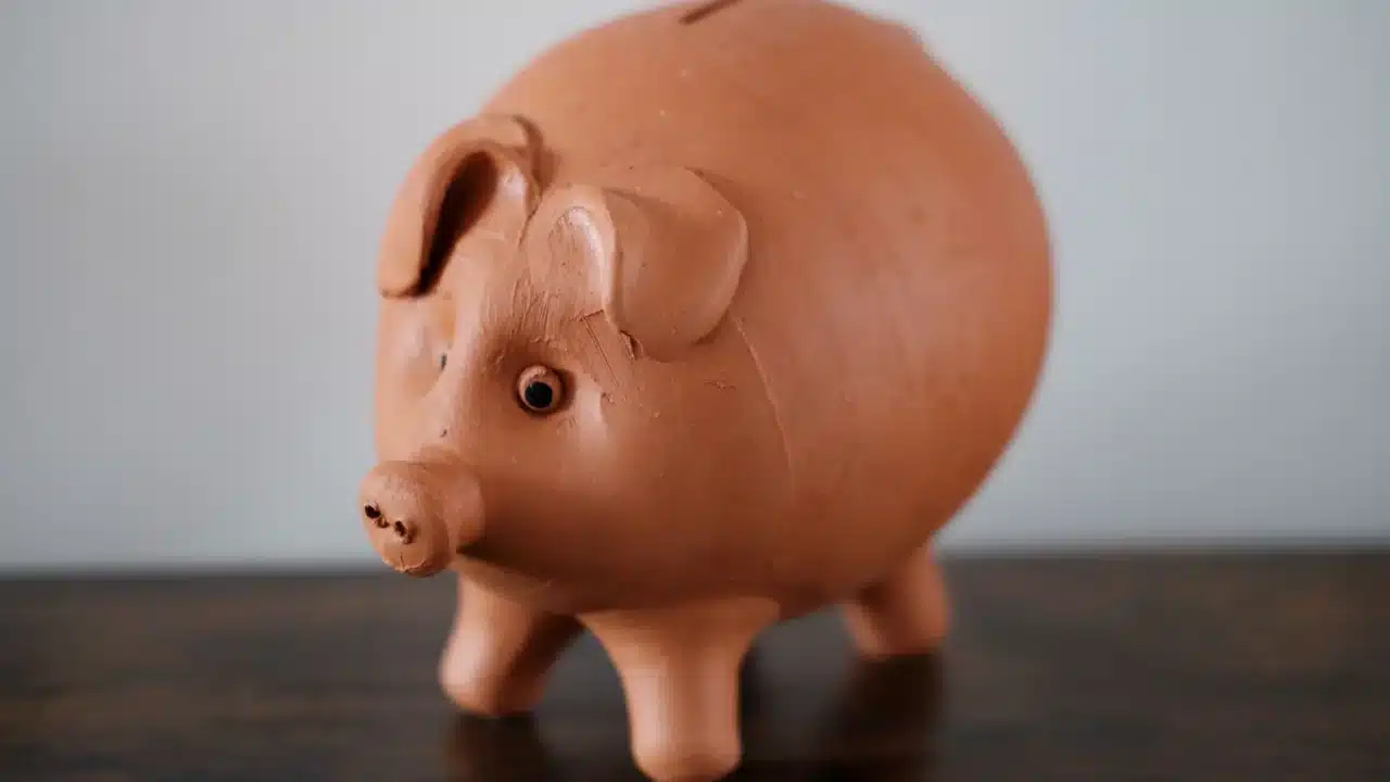 Piggy Bank Money